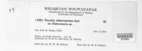 Puccinia alstroemeriae image